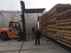 Forno per l'essiccazione rapida del legno completamente automatico per legno tenero 30 - 150 m3 di capacità