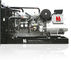 Generatore multifunzionale del motore diesel, portata standby diesel di lunga vita del generatore