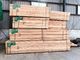 Okoume durevole ha segato l'umidità essiccata artificialmente FSC resistente del legname ha certificato